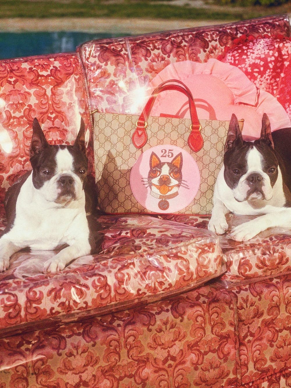 Shop Gucci's Year of the Dog Apparel & Shoes